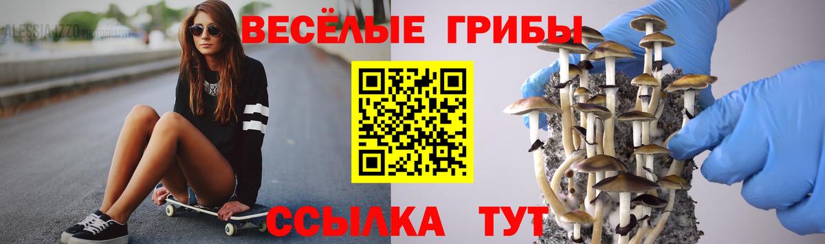 Псилоцибиновые грибы ЛСД Джанкой